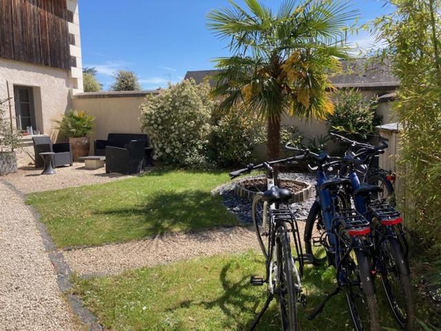 Chambres D'Hotes Rue Du Poids Bourgueil Exterior foto